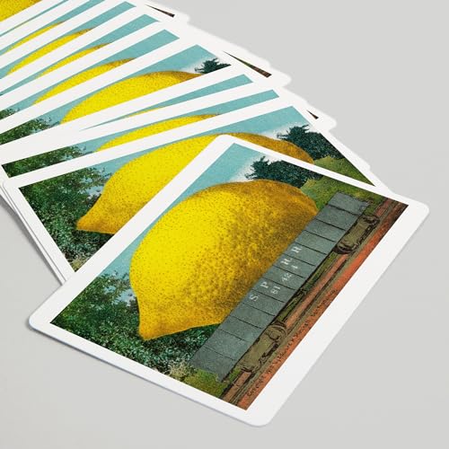Baraja de 52 cartas tamaño póker con diseño limón miniatura 5