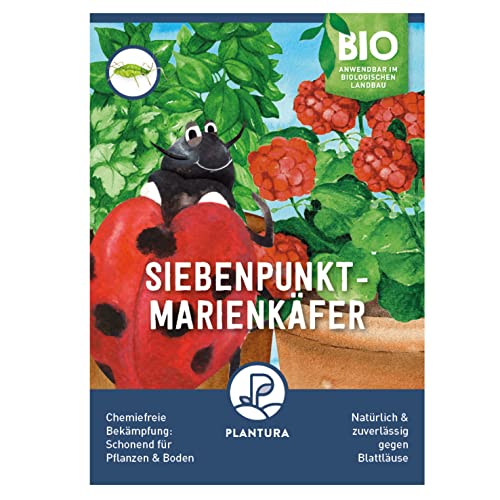 Plantura Siebenpunkt-Marienkäfer gegen Blattläuse wirksam & nachhaltig 10 Nützlinge