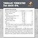 VITACTIV Tribulus Terrestris 1500 mg - 240 Kapseln Vegan - Tribulus Extrakt Hochdosiert, 90% Saponin – Mit Zink, plus L-Arginin, Maca, Ginseng, Vitamin B6