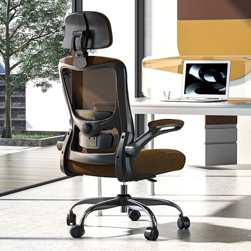 Ergonomic Office Chair, High Back Mesh Desk Chair with Adjustable...