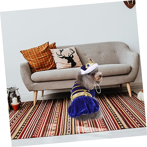 Disfraz para perro y gato Halloween con sombrero miniatura 5