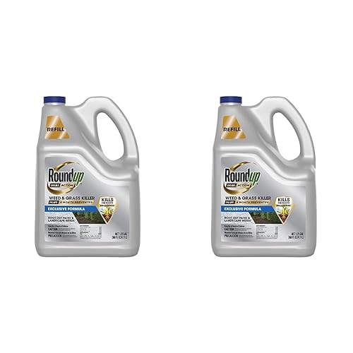 Understanding Roundup's Impact on Rose Bushes Will It Kill Them