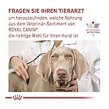 ROYAL CANIN Veterinary Urinary s/o Canine für Hunde | Doppelpack | 2 x 12 x 100 g | Feuchtnahrung für Hunde | Feine Stückchen in Soße | Zur Unterstütztung der Auflösung von Struvitsteinen