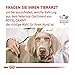 ROYAL CANIN Veterinary Urinary s/o Canine für Hunde | Doppelpack | 2 x 12 x 100 g | Feuchtnahrung für Hunde | Feine Stückchen in Soße | Zur Unterstütztung der Auflösung von Struvitsteinen