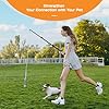 Compact 40-Inch Dog Pole