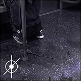 A Manger in an Empty Field