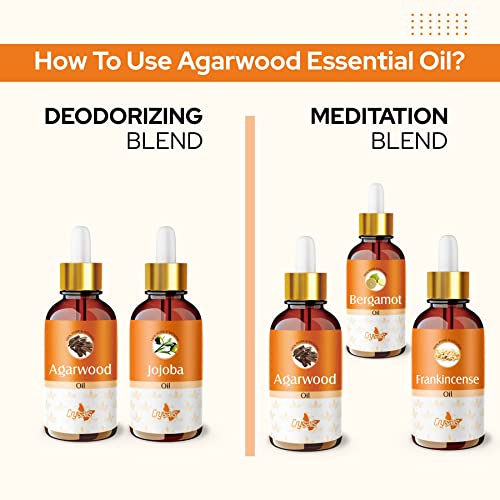 Image of Crysalis Agarwood Oil (Aquilaria Crassna) |100% Pure & Natural Undiluted Essential Oil Organic Standard| |Aromatherapy, Moisturize & Soften Skin, Anti-Aging - 100ml
