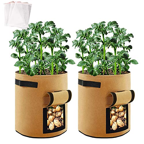 エプダ店 不織布ポット 植物栽培バッグポット プランター フェルト 植え袋 ジャガイモ トマト ニンジン 園芸 ガーデン 植物育成 野菜栽培 発育促進 野菜用 家庭用 5ガロン茶色