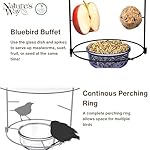 Nature's Way BBFM1 Bluebird Buffet Metal Bird Feeder with Protective Baffle, Outdoor Wild Bird Feeder and Décor, One Glass Dish with 3/4 Cup capacity, Blue - Image 5