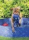 Karlie Neopren Hundespielzeug L: 33 cm B: 33 cm H: 15 cm blau Octo