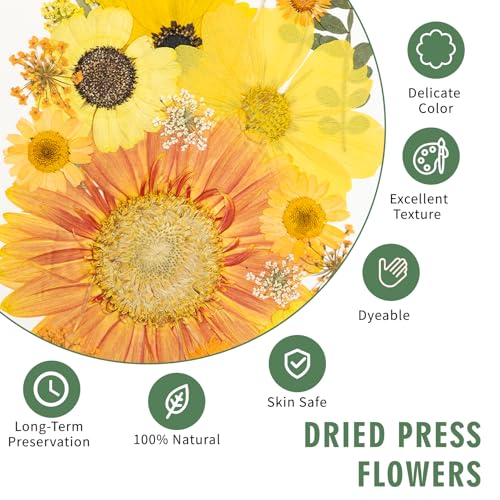 Image of 204 Pcs Dried Pressed Flowers for Resin Crafts, Real Natural Pressed Flowers and Leaves Kit Butterfly Stickers Vacuum Sealed Dry Flowers for DIY Epoxy Resin Jewelry Molds, Candle Soap Making, Nail Art