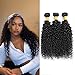 Brazilian Kinky Curly Hair, 8A Unprocessed Kinky Curly Human Hair Bundles, Virgin Hair Curly Weave 3 Bundles, Natural Color (10 12 14)