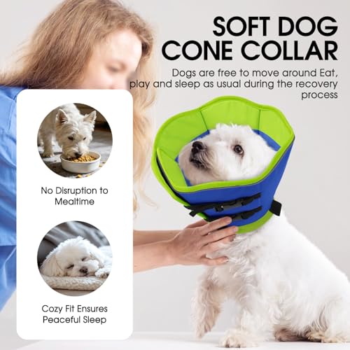 Cône souple pour chien grand format pour la convalescence tranquille