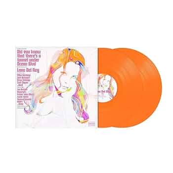Lana Del Rey LP Ocean Blvd レコード LANA DEL REY DID YOU KNOW THERES A TUNNEL UNDER OCEAN BLVD