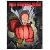 One - Punch Man Standard Edition (DVD)
