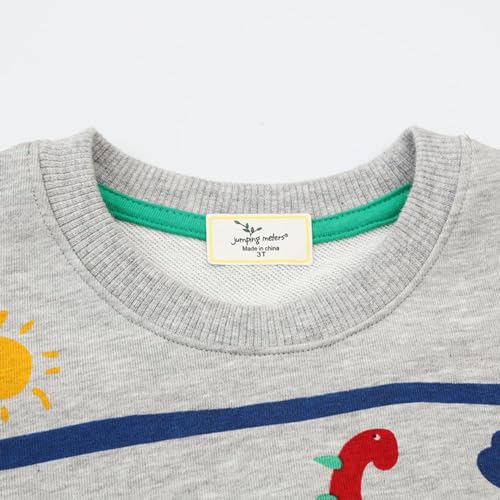 Image of Popshion Toddler Boys Sweatshirts Dinosaur Long Sleeve Pullover Crewneck Shirts Cartoon Tee Sport Tops for Kids 1-8T