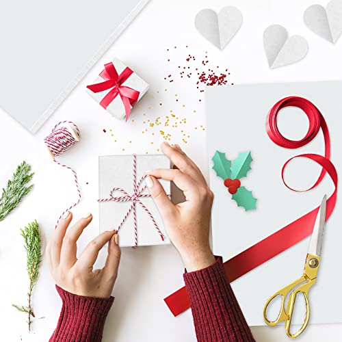 NEBURORA Seidenpapier weiß für Geschenktüten 60 Blatt weißes Seidenpapier Großpackung 50 x 35 cm weißes Verpackungspapier für Geschenkpapier Füller Blumen Kunsthandwerk Geburtstag Hochzeitsdeko (weiß)