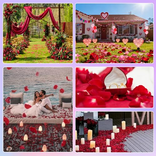 Real Red Rose Petals, Preserved Flower Petals for Romantic Night,180+PCS - image 6