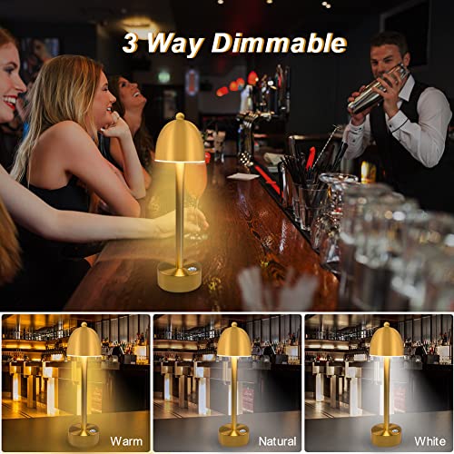 Irtto Gold Mushroom Battery Operated Cordless Table Lamp, 3-Way Dimmable Touch Sensor Desk Lamp, Industrial Rechargeable Portable Night Light For Bar/Restaurant/Home/Office Décor #TOP2