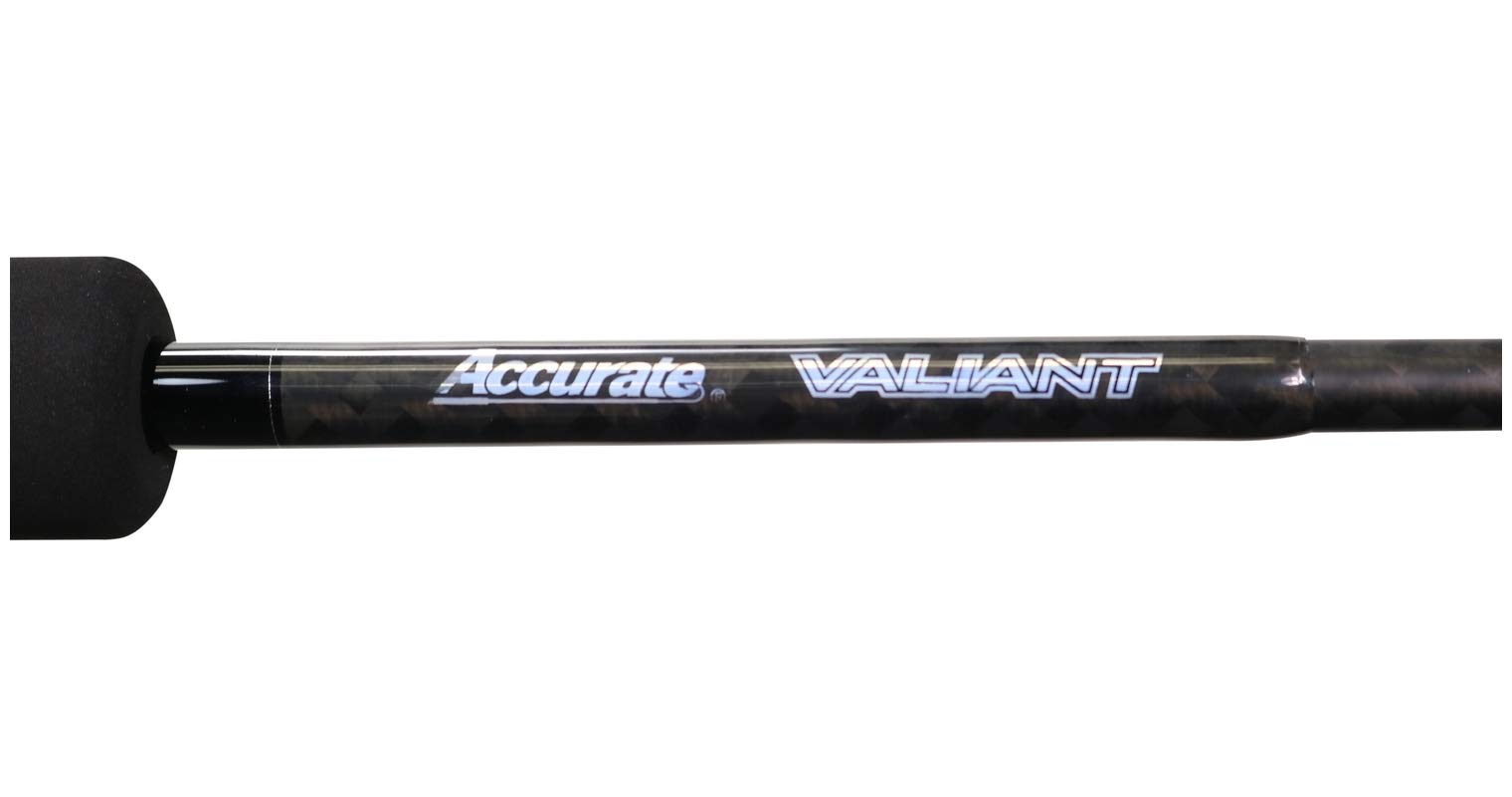 Amazon.co.jp: Accurate Valiant BV-X76H 従来型ロッド : Sports
