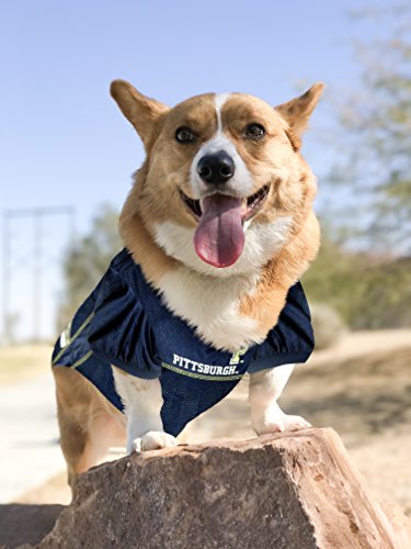Image of Pets First Collegiate Pittsburgh Panthers Dog Mesh Jersey, Medium