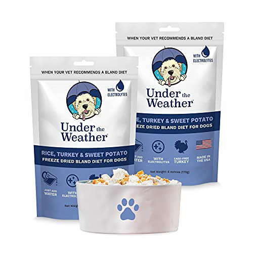 10 Best Easy Digest Dog Foods for Your Furry Friend A Complete Buying