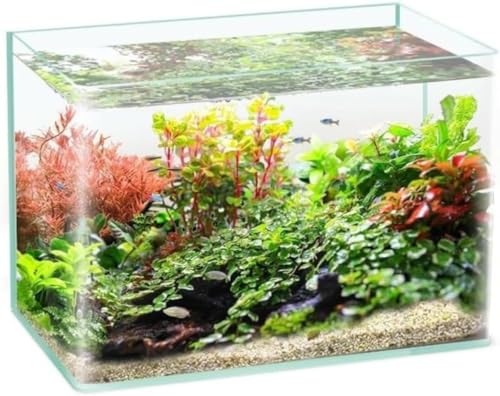 Klivex  _J  e ANAE ϗtA CeA e ^ KX lHt ۂ̐ CeA TAԊwIȐ t̃xA^N,60×30×35