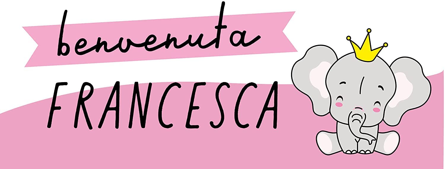 Striscione Nascita Personalizzato Con Nome – Benvenuta Coniglietto Bimba – PVC 150x50 Cm – 5 Anni Garanzia - 4