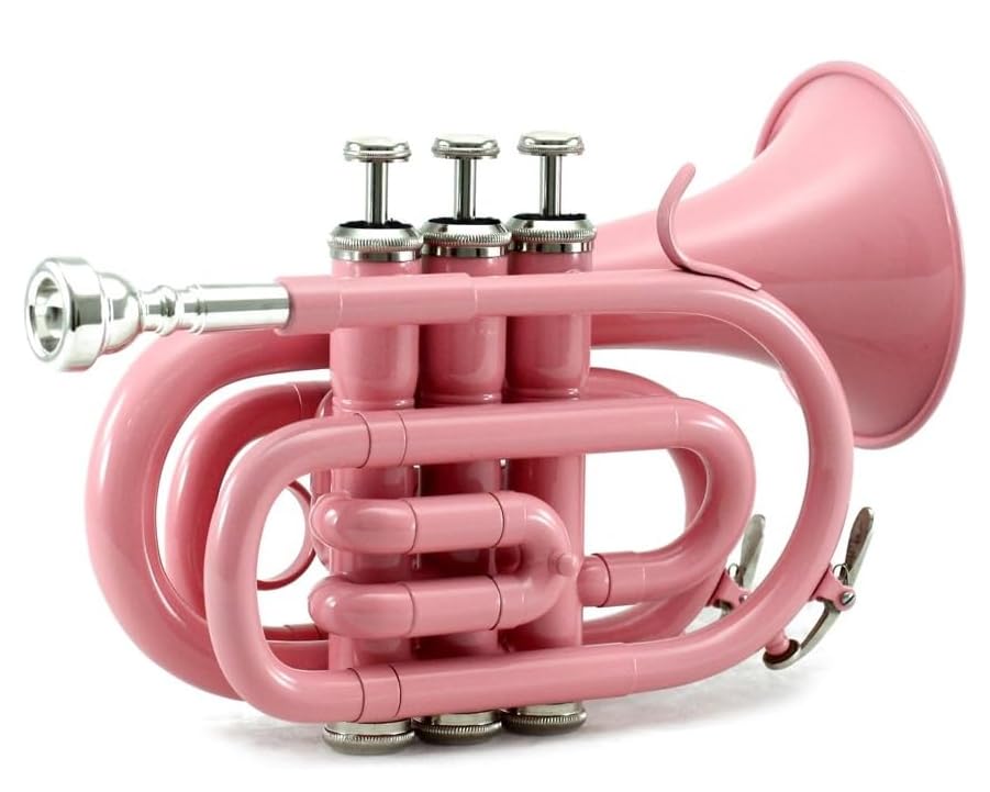 SKY Brass Bb Pocket Trumpet with Case, Cloth, Gloves, and Valve Oil, (Pink)