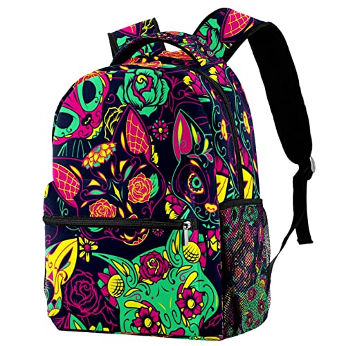 Sac à dos de voyage Leisure Campus idéal pour les cours et trajets