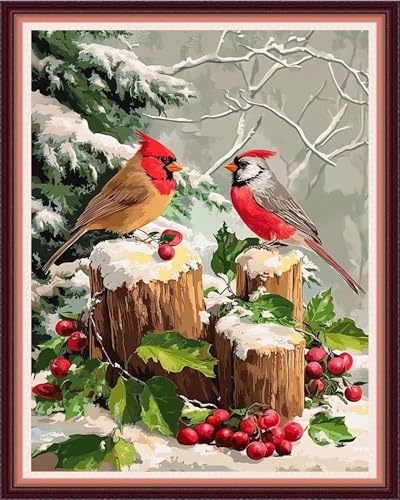 Image of Fanxvivy Stamped Cross Stitch Kits for Beginners Full Range of Cross Stitching Preprinted Embroidery Kits for Adults, 11CT Embroidery Pattern Needlepoint Kits-Little Bird Snow Scene 16x20 inch