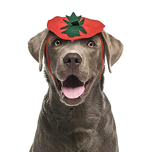 Disfraz bandana calabaza para perro Midlee Halloween