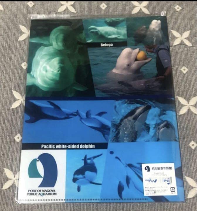 Amazon.co.jp: 名古屋港水族館限定 ダブルポケット クリア