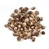 NatureNAO Hemp Seeds, Shell-On, Toasted – 10.75 Oz. Resealable Bag