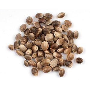 NatureNAO Hemp Seeds, Shell-On, Toasted – 10.75 Oz. Resealable Bag
