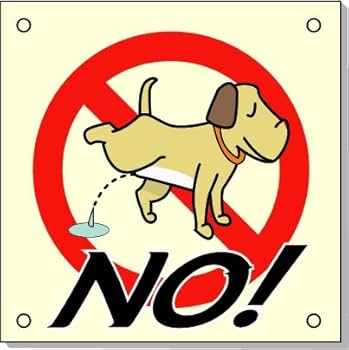 このんのページ バイクマフラー カワサキ用 ZX6R ZX-6R ZX 6R 636 2009-2020