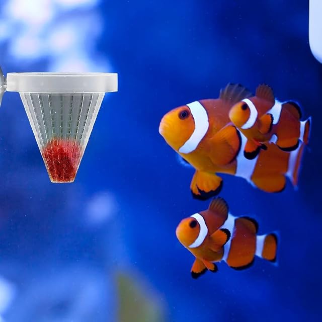 Foto 8 de 8 de Alimentador de cono de acuario, 4 unidades, tanque de peces, alimentador de gusano rojo