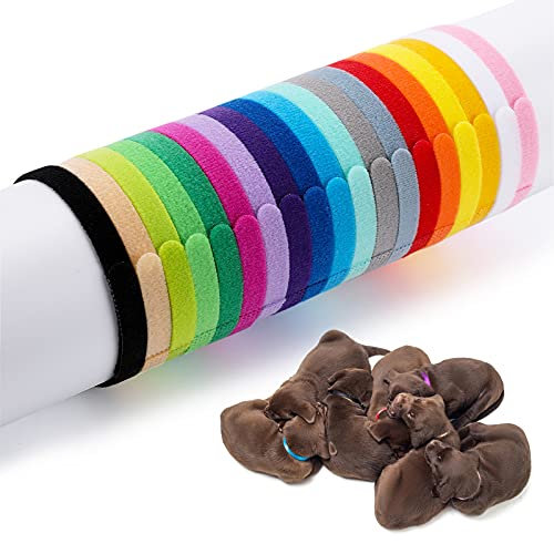 Molain 20 Pezzi Collari per Cuccioli di Piccola Taglia, Fasce Identificative per Cani, Collari per Neonati (30 cm)