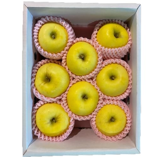 JAĂǂt[Y R`Y ͂邩 vZX͂邩 x16x  2kg 12{`12{o ws