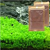 LUKAWES 2 Pack Aquarium Plants S.e.e.ds for Fish Tank - Mini Leaf, Aquarium Foreground Decor, Easy-to-Grow Real Carpet Plants for Fish Tanks