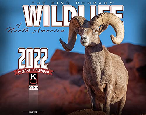 2022 Wildlife of North America Wall Calendar (Single Unit) 16-Month X-Large Size 14x22, Sheep Bear Deer Moose Calendar by The KING Company-Monster Calendars