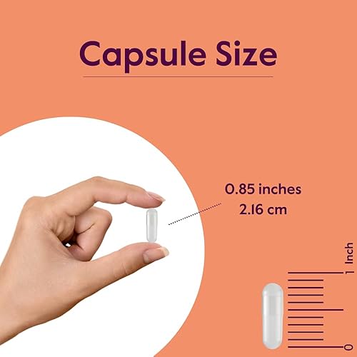 Miniatura 4 de BESTVITE L-Glutamina 500mg por cápsula (240 cápsulas) - Sin fosfato dicálcico - Sin estearatos - Sin OMG - Sin gluten - Apoyo a la salud intestinal