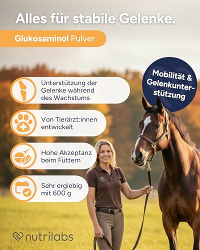 NutriLabs Glukosaminol® equin Gelenk-Pulver für Jung-Pferde 600 g - mit Glucosamin & Magnesium Pferd - Glucosamin Pulver - Pferde-Nahrungsergänzungsmittel - Gelenknahrung für Pferde