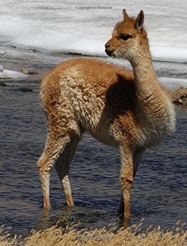 Cahier de composition anti-gaspillage 140 pages format malin 18,8x24,6 cm motif Baby Llama