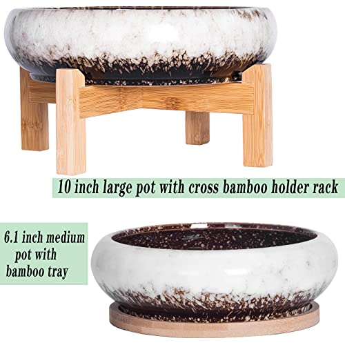 Artketty Succulent Pots With Drainage, Large Succulent Planter With Stand And Saucer Shallow Bonsai Pots Ceramic Cactus Flower Planter Pot For Indoor Plants (7.3 And 10'') #TOP1