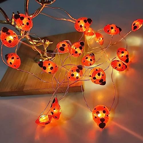 YeahBoom Marienkäfer Lichterkette,2M 20LED Käfer Leucht Batteriebetrieben,Marienkäfer Lichterkette Deko für Innen und Außen,Frühling Deko für Garten Blume Balkon Terrasse Party Weihnachten