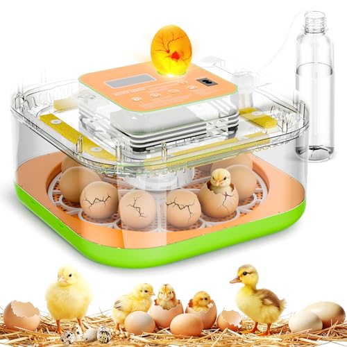 Incubator for Hatching Eggs Temperature and Humidity Control Automatic and Adjustable Egg Turning & Incubation Day Built-in Egg Candler 12 Egg Incubator for Hatching Chicken Duck Turkey Bird