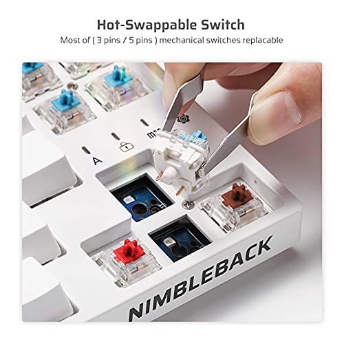 Image of LTC NB681 Nimbleback Wired 65% Mechanical Keyboard, RGB Backlit Ultra-Compact 68 Keys Gaming Keyboard with Hot-Swappable Switch and Stand-Alone Arrow /Control Keys (Hot Swappable Blue Switch, White)