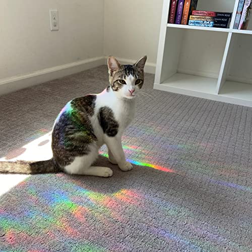 Image of 30 Pcs Star Ring Circle Window Clings - Anti-Collision Decals to Save Birds, Non-Adhesive Rainbow Stickers