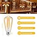 TOBUSA Dimmable LED Edison Light Bulbs 100W Incandescent Equivalent, Vintage Light Bulb 2700K Warm White(Amber Glass), ST64/ST21 LED Filament Bulbs 8W 1200LM, E26 Edison Bulb for Home, Reading 4-Pack